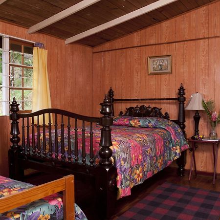 Forres Park Hotel คิงส์ตัน ภายนอก รูปภาพ