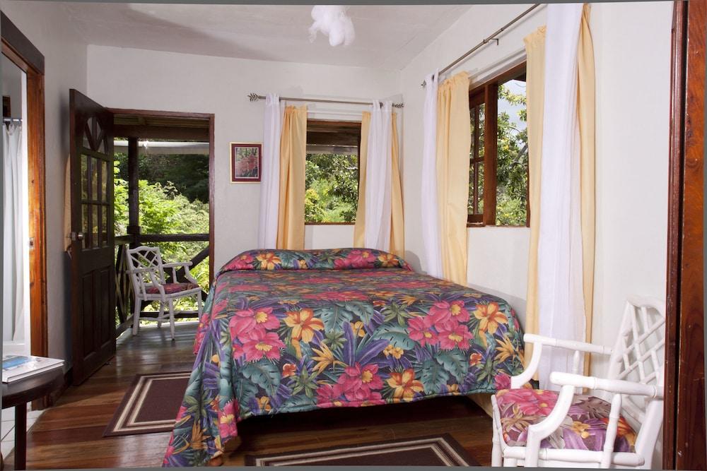 Forres Park Hotel คิงส์ตัน ภายนอก รูปภาพ