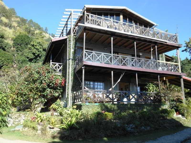 Forres Park Hotel คิงส์ตัน ภายนอก รูปภาพ